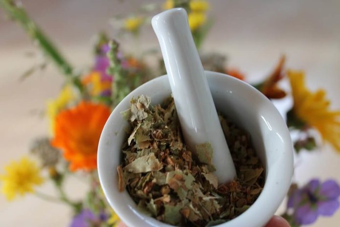 Indian-Herbal-Medicine-Ayurveda