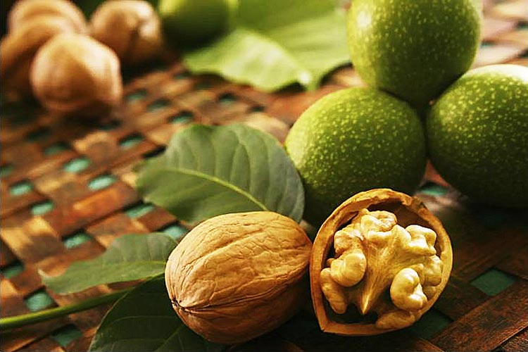 the-walnut