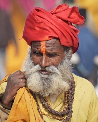 Vedic Astrologer