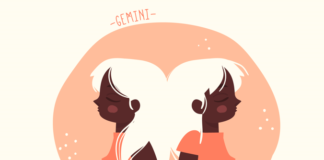 Gemini zodiac sign