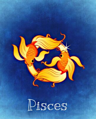 Pisces Career and Finances