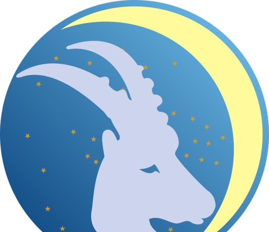 Capricorn Zodiac Sign