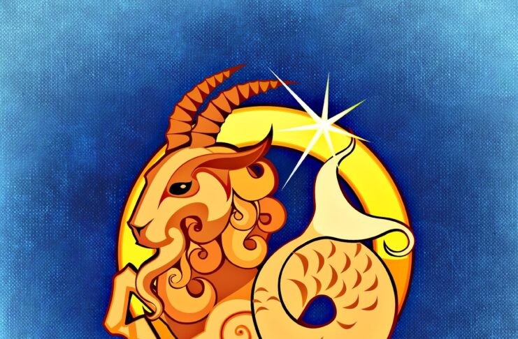 Capricorn Zodiac Sign